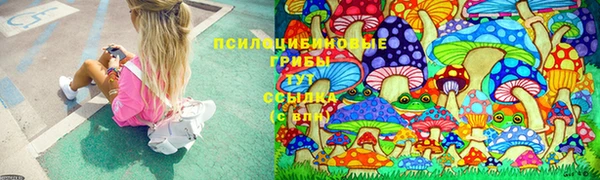 каннабис Арсеньев