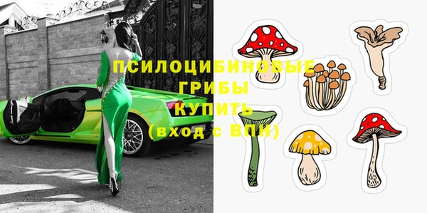 прущая мука Армянск
