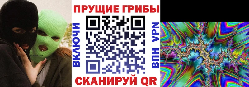 Купить  Приморско-Ахтарск  Галлюциногенные грибы MAGIC MUSHROOMS 